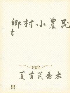 乡村小农民txt