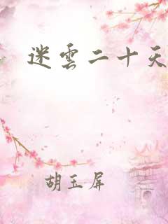 迷云二十天