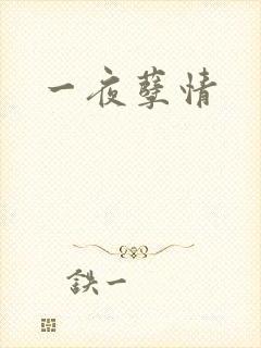 一夜孽情