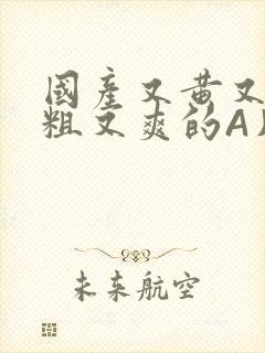 国产又黄又猛又粗又爽的A片小说