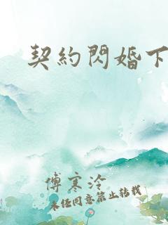 契约闪婚下载