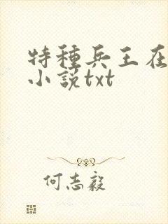 特种兵王在山村小说txt