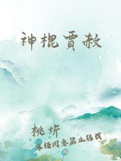 神棍贾赦