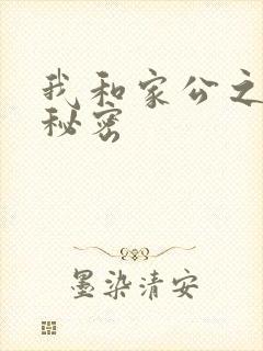 我和家公之间的秘密