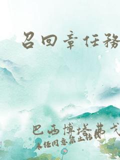 召回章任务