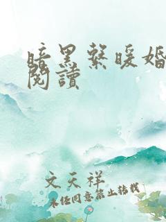 暗黑系暖婚免费阅读