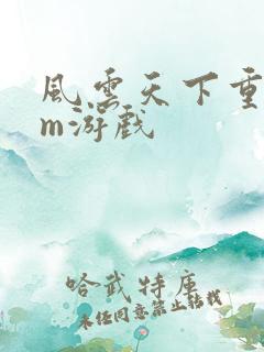 风云天下重燃gm游戏