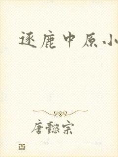 逐鹿中原小说