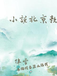 小说北京教父