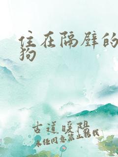 住在隔壁的小狼狗