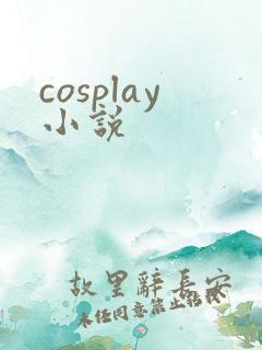 cosplay小说