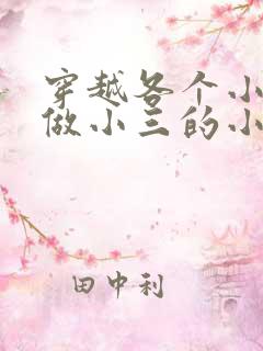 穿越各个小世界做小三的小说