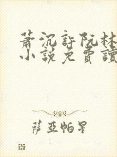 萧沉许阮林依然小说免费读
