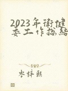 2023年卫健委工作总结