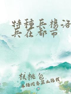 特种兵杨洛特种兵在都市