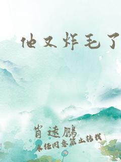 他又炸毛了