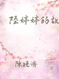 陆婷婷的故事