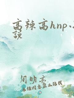 高辣高hnp小说
