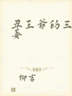 丑王爷的三妻四妾