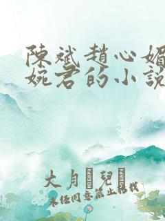 陈斌赵心媚与高婉君的小说