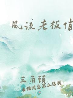 风流老板俏秘书