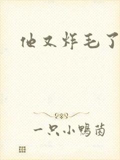 他又炸毛了