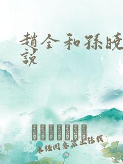 赵全和孙晓云小说