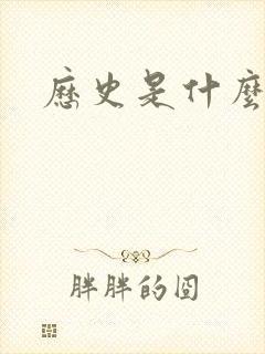 历史是什么玩意