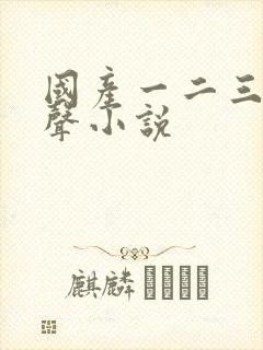 国产一二三区有声小说