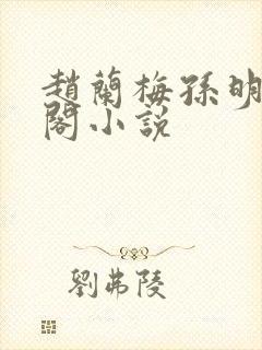 赵兰梅孙明笔趣阁小说