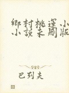 乡村桃运小神医小说未删版全文