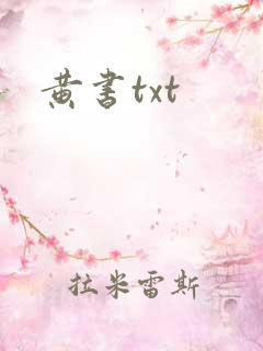黄书txt