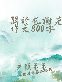 关于感谢老师的作文800字