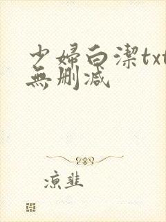 少妇白洁txt无删减