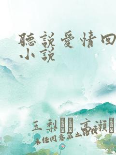 听说爱情回来过小说