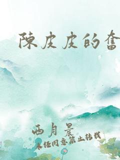陈皮皮的奋斗