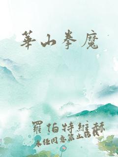 华山拳魔