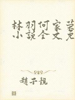 林羽何家荣江颜小说全文免费阅读
