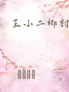 王小二乡村野事