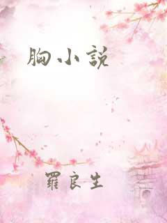 胸小说