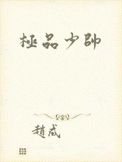 极品少帅