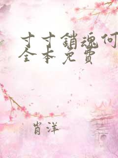 寸寸销魂何生祥全本免费