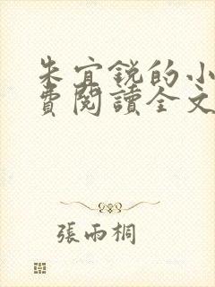 朱宜锐的小说免费阅读全文