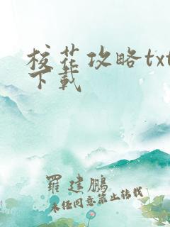 校花攻略txt下载