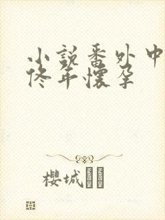 小说番外中结局佟年怀孕