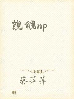 觊觎np