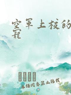 空军上校的邪魅宠