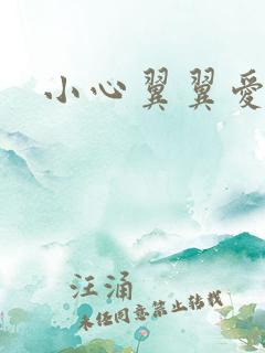 小心翼翼爱上你