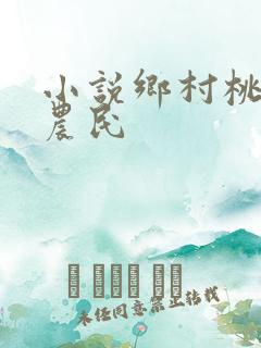 小说乡村桃运小农民