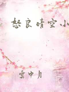 怒良晴空小说